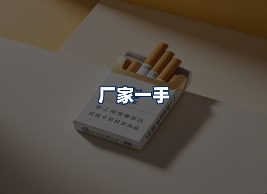 专业团队办公环境